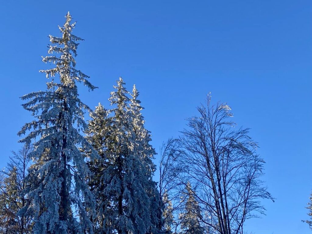 Високогір'я Карпат продовжує притрушувати снігом ФОТОРЕПОРТАЖ