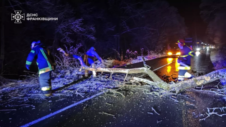 На Калущині дерево заблокувало проїзд на дорозі, допомогли рятувальники