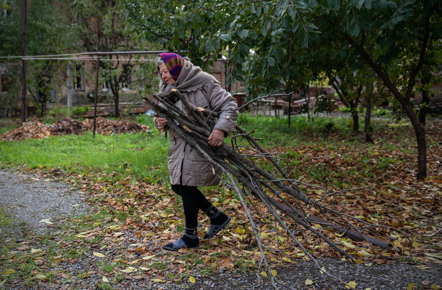 Десятки тисяч штрафу чи в’язниця: українців хочуть карати за зберігання деревини без документів