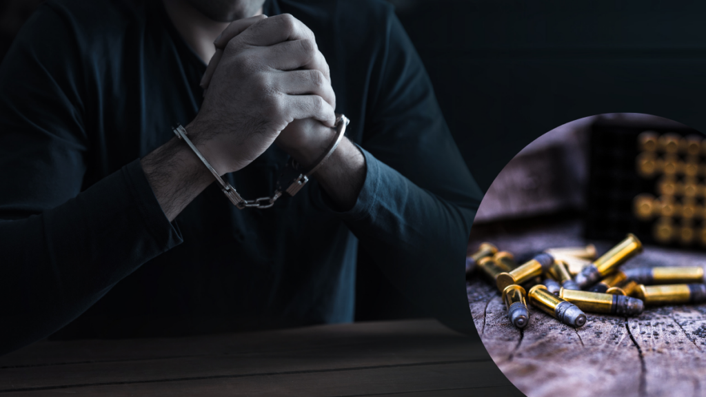 У Коломиї судили чоловіка за незаконне придбання та зберігання боєприпасів