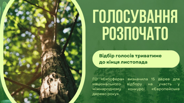 Акація та два дуби з Франківщини увійшли до нацвідбору для участі у конкурсі "Європейське дерево року"