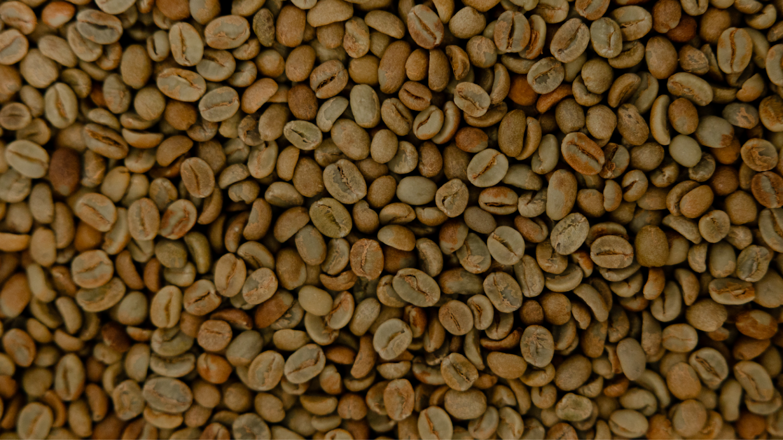Методи обробки кавового зерна та їх вплив на смак напою