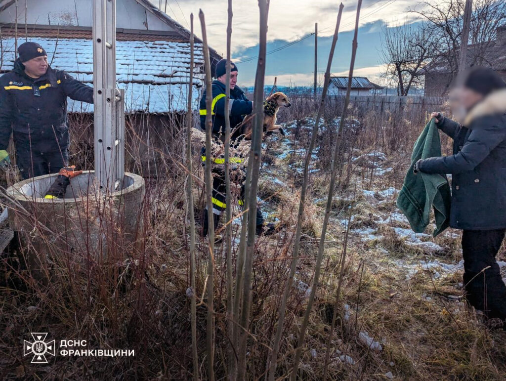 На Коломийщині врятували собаку, яка впала в глибокий колодязь