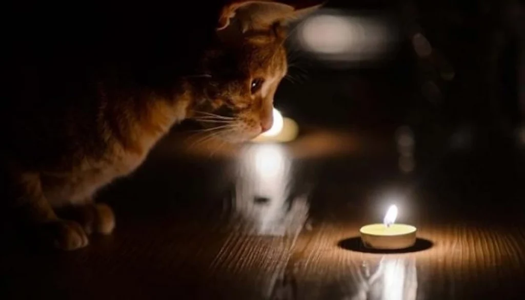 Прикарпаттяолбенерго оприлюднило графіки вимкнень електроенергії,2 грудня,Прикарпаттяобленерго