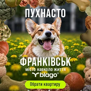 Щасливий пес на полі у Франківську