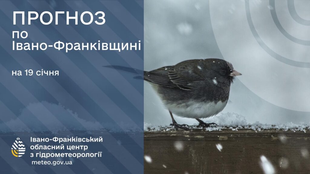 Прогноз погоди Івано-Франківськ, 19 січня, сніг