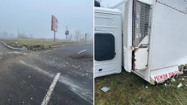 Поблизу Коломиї перекинулася вантажівка зі свинячими тушами