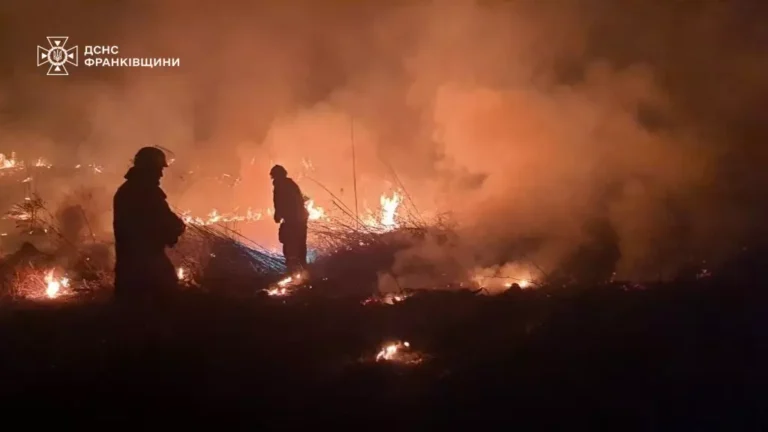 На Калущині місцеві самостійно загасили пожежу сухої трави