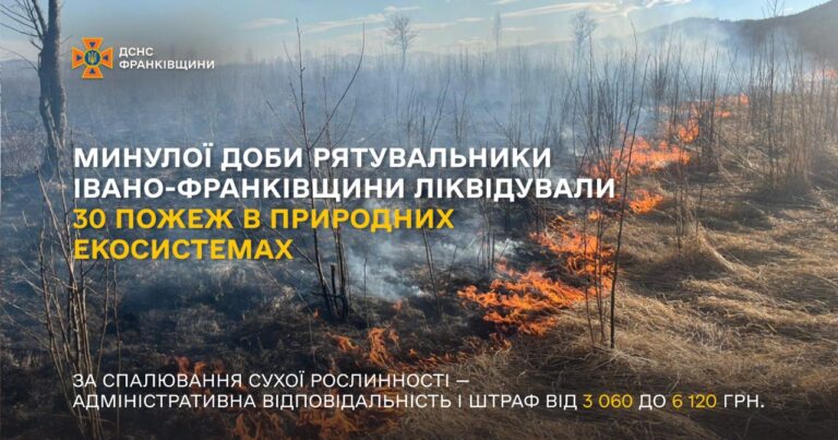 Минулої доби рятувальники Івано-Франківщини ліквідували 30 пожеж в природних екосистемах