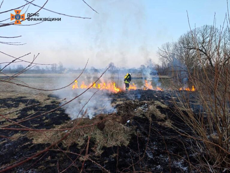 57 пожеж сухої трави ліквідували прикарпатські вогнеборці за минулу добу. ФОТО