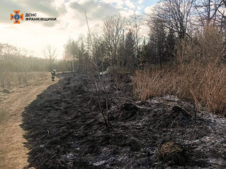 Коломийський район: на пожежі сухої трави травмувався чоловік