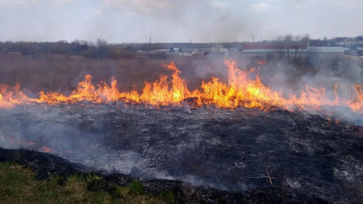 Пожежа на полі біля міста