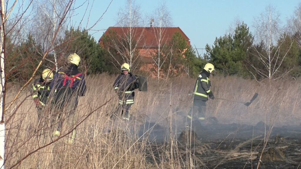 На Прикарпатті продовжують відловлювати паліїв трави