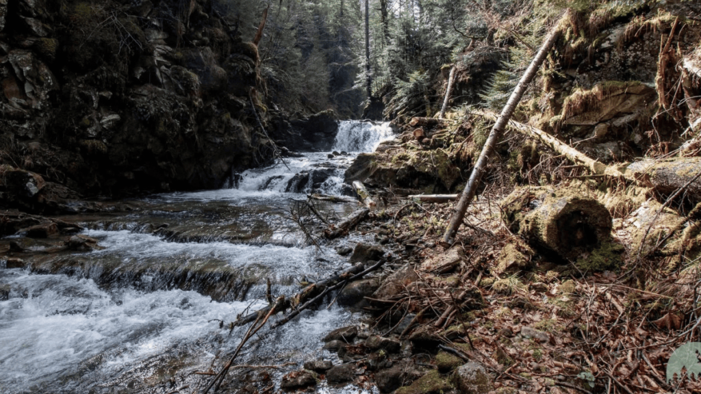 Прикарпатські волонтери розчистили стежку до важкодоступного карпатського водоспаду Казарка