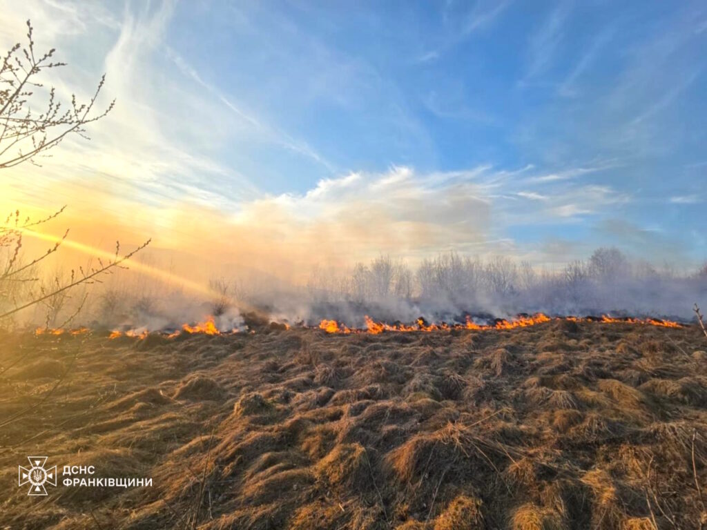 Пожежа на полі в Україні, дим і вогонь