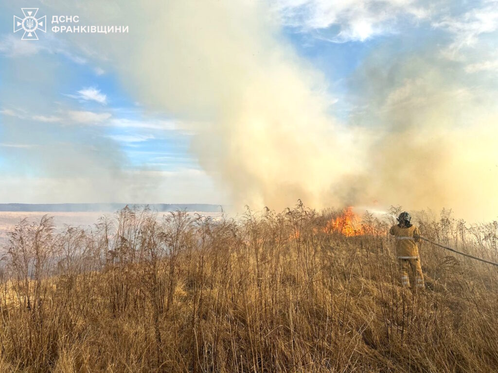 Пожежник гасить вогонь у полі при денному світлі.