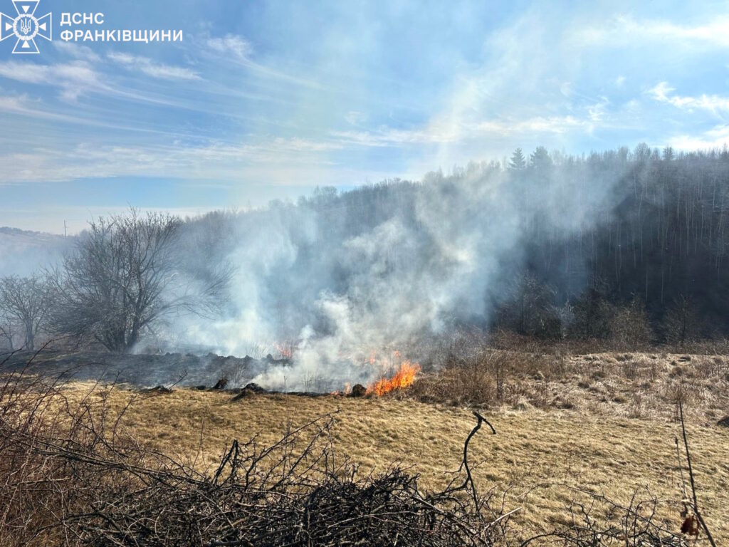 Дим і вогонь в полі біля лісу.