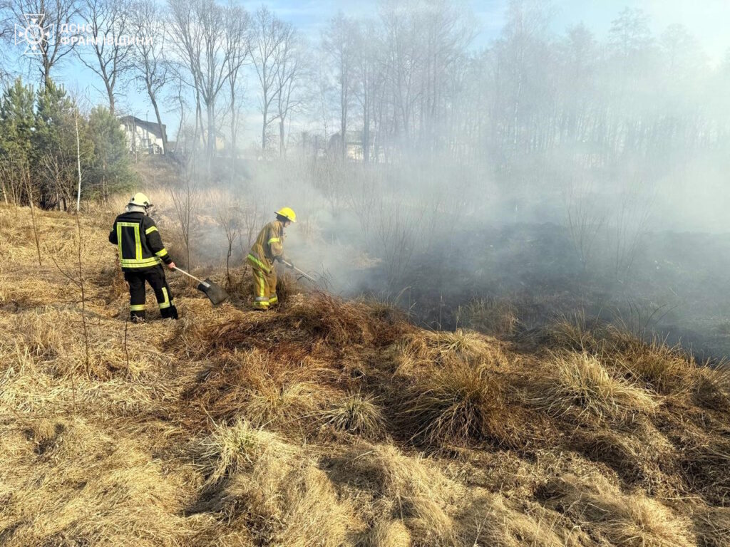 Пожежники гасять вогонь у сухій траві