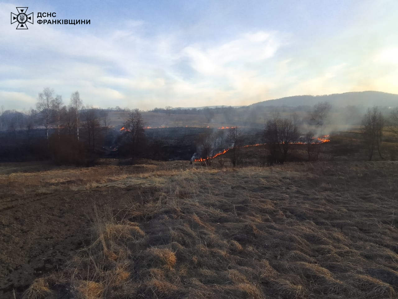 Пожежа на лісовій галявині, дим і вогонь.