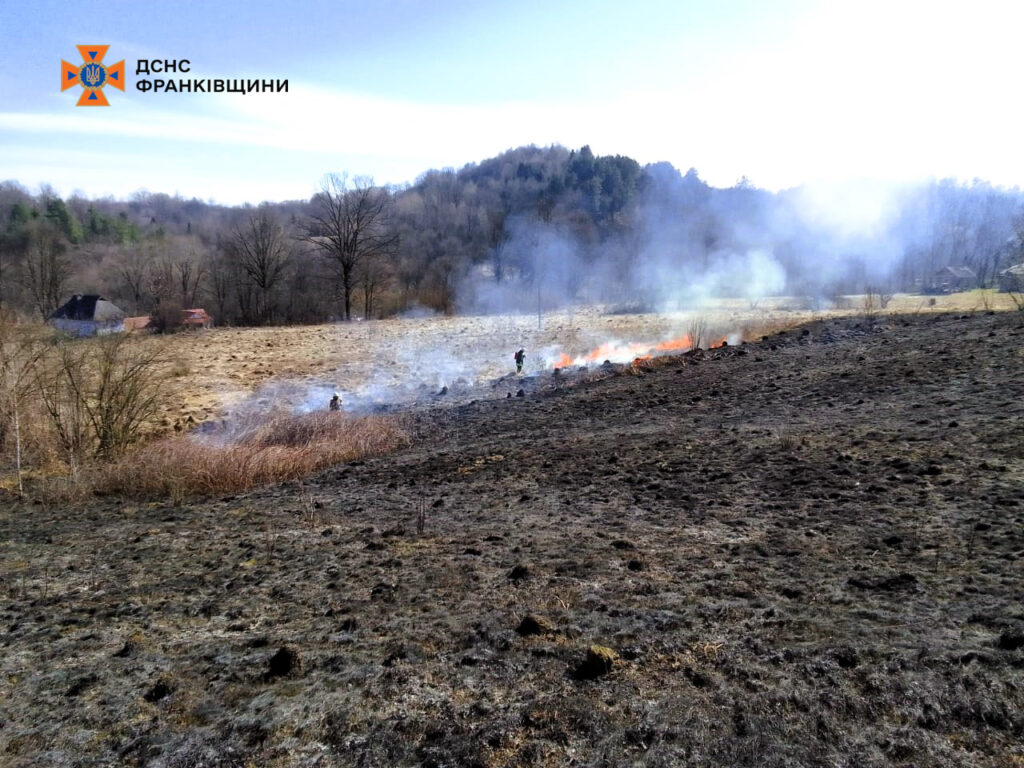 Пожежа на полі під наглядом рятувальників