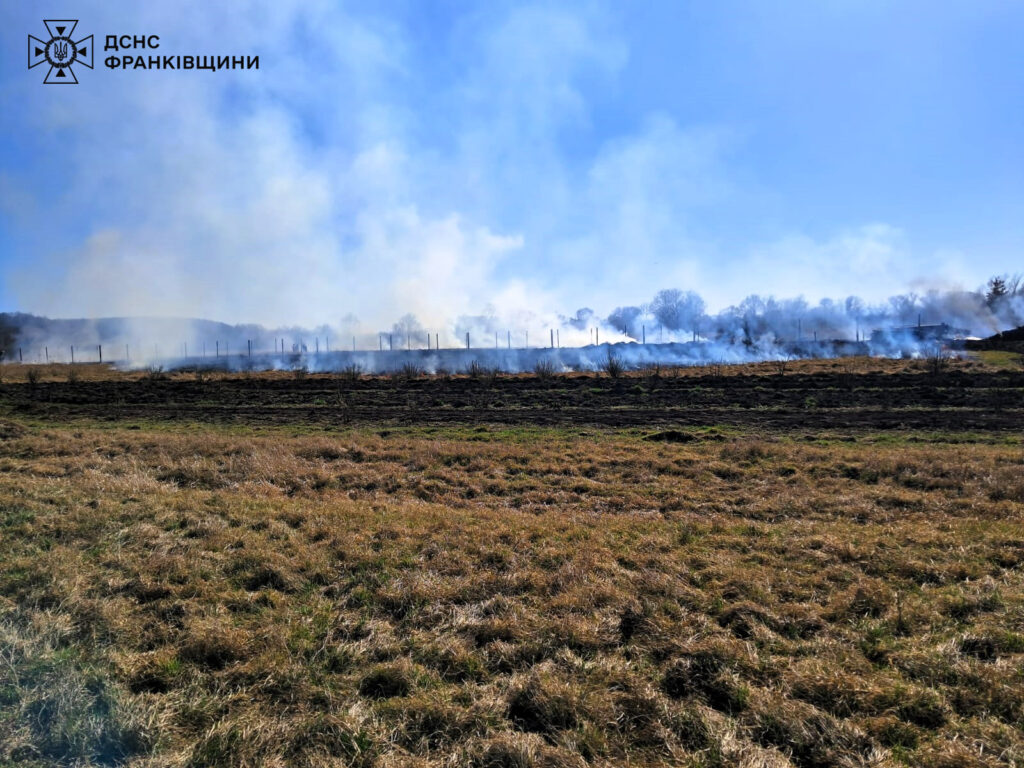 Пожежа на полі в Івано-Франківській області.