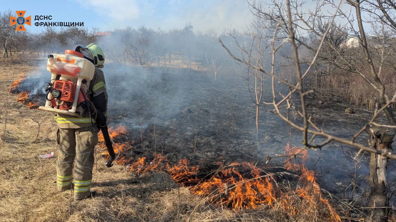 На Прикарпатті сьогодні нарахували 50 пожеж сухостою, спіймали чотирьох паліїв