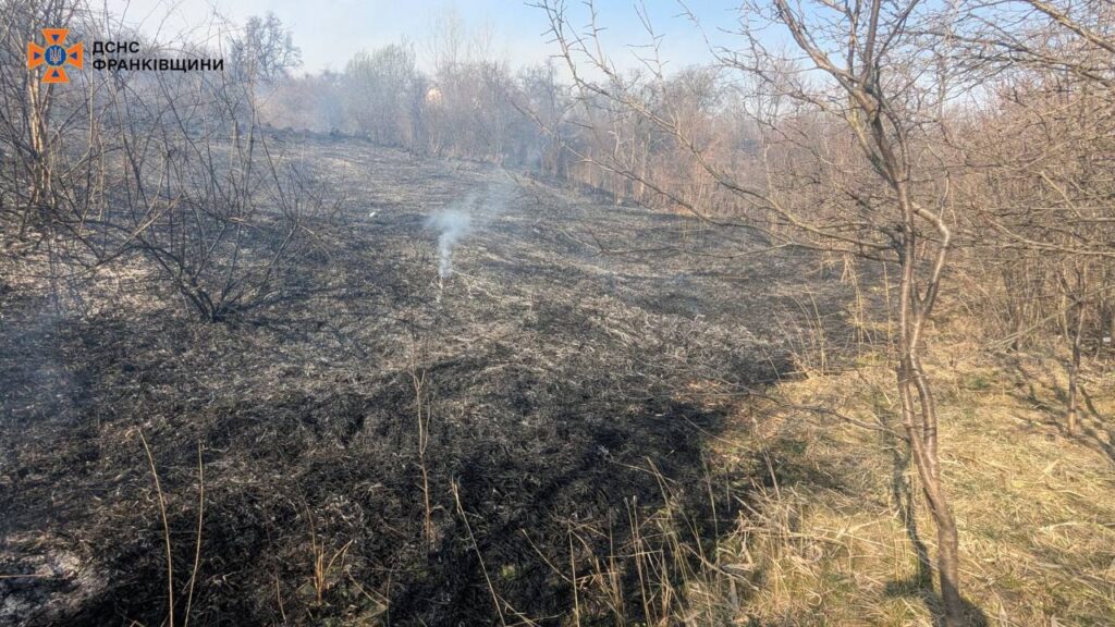 Пожежа на траві в лісі з димом