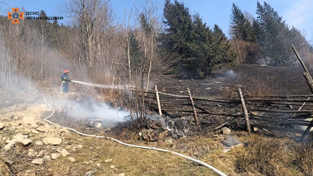 Пожежник гасить вогонь у лісі