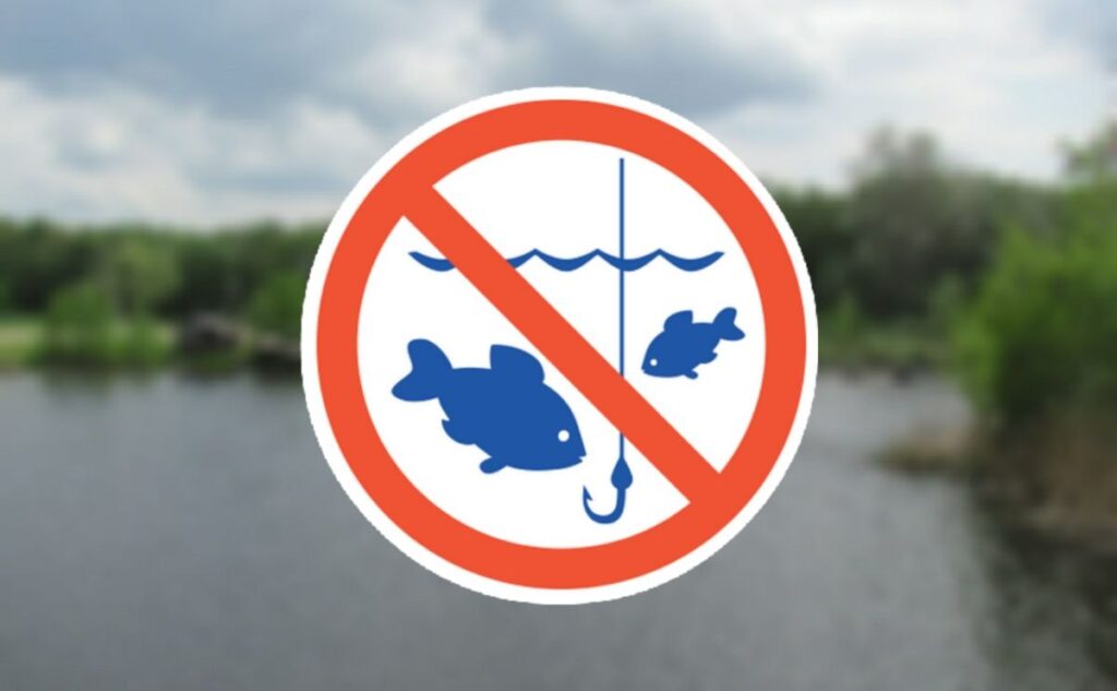З 1 квітня на Франківщині стартує операція "Нерест" - риболовлю заборонено