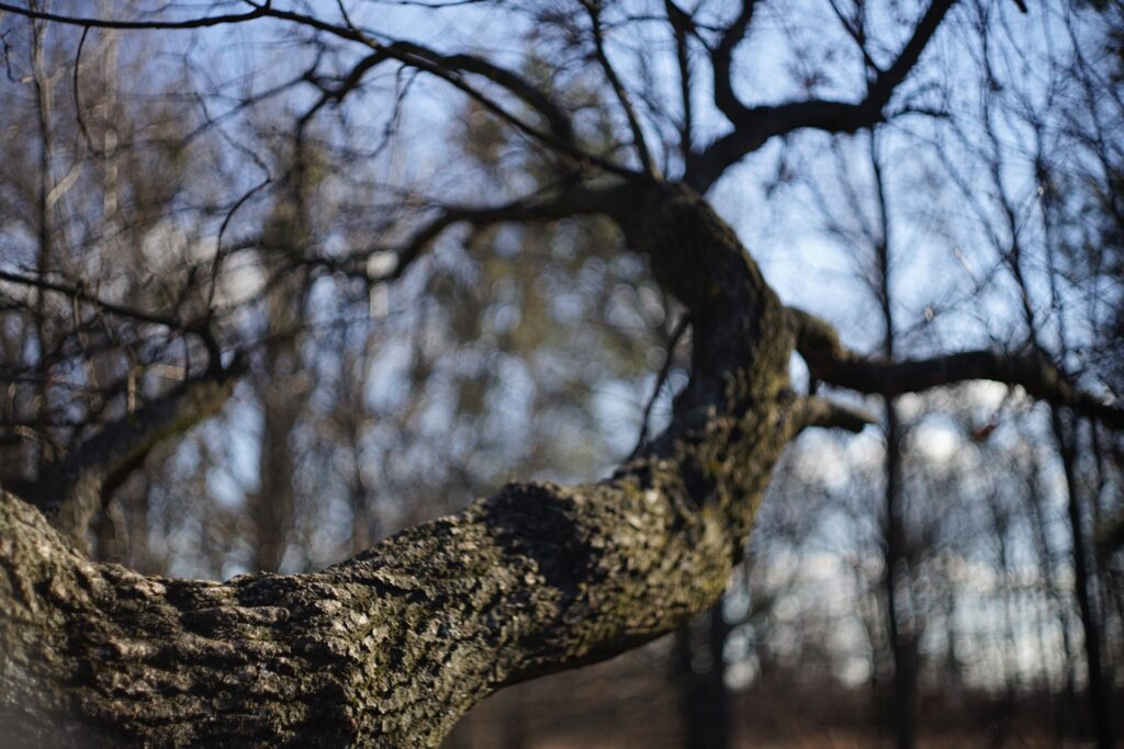 Якою буде погода у перший робочий день березня