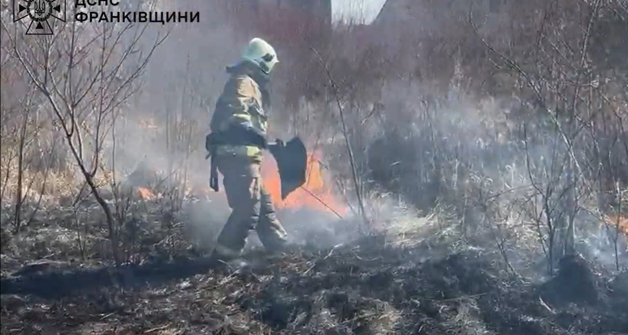 Пожежник гасить вогонь у лісі весною.