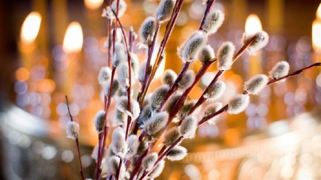 "Не я б'ю, верба б'є, за тиждень Великдень": 13 квітня українці святкують вербну неділю