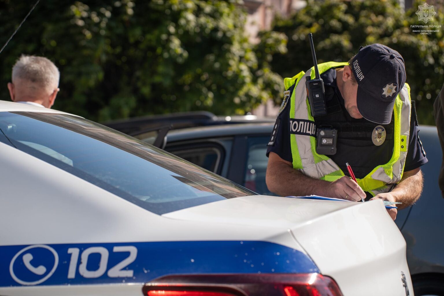 У Франківську на Бандери збили собаку