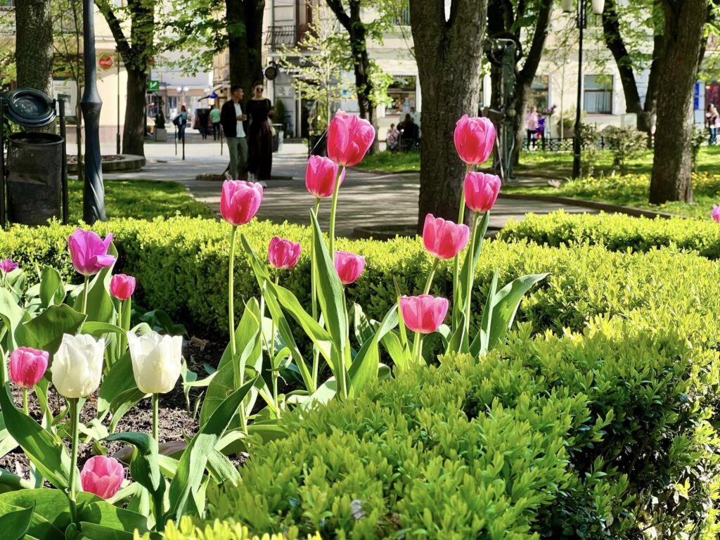 Погода в Івано-Франківську та області 29 квітня