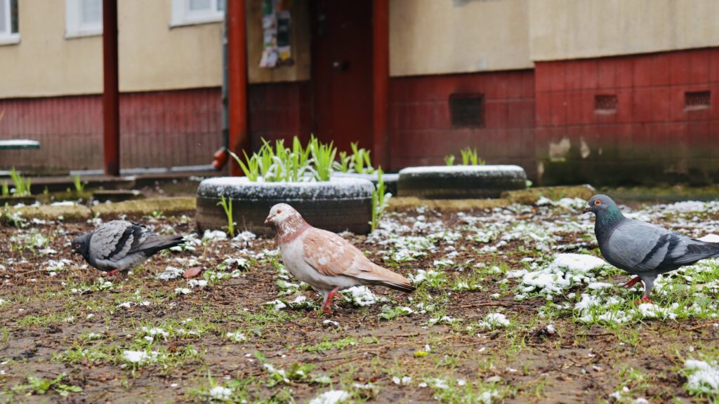 Якою буде погода 10 квітня на Івано-Франківщині