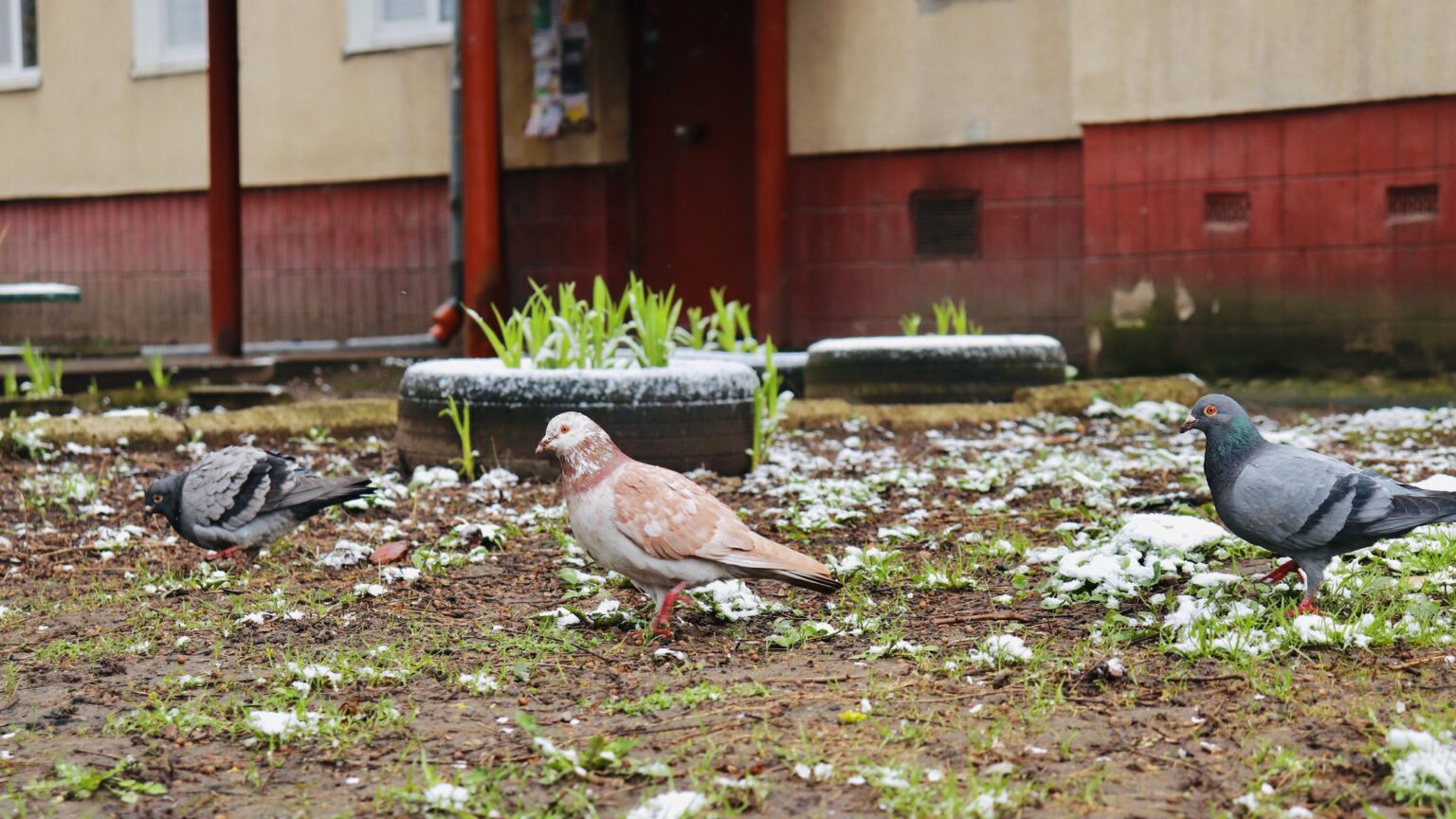 Якою буде погода 10 квітня на Івано-Франківщині