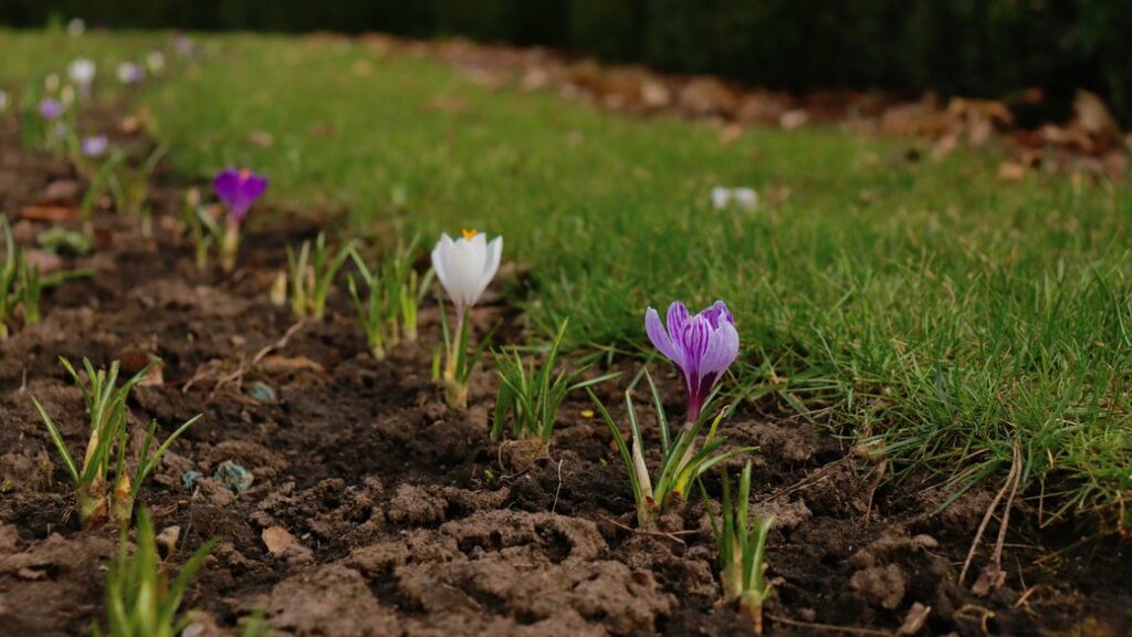 Погода в Івано-Франківській області 1 квітня