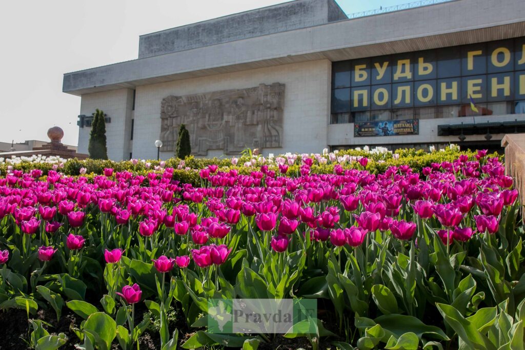 Цвітіння тюльпанів перед будівлею з барельєфом.