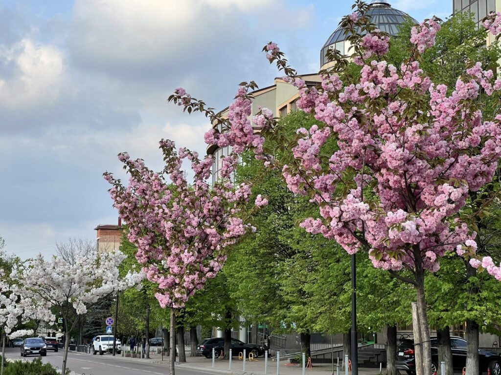 Якою буде погода в Івано-Франківській області 2 травня