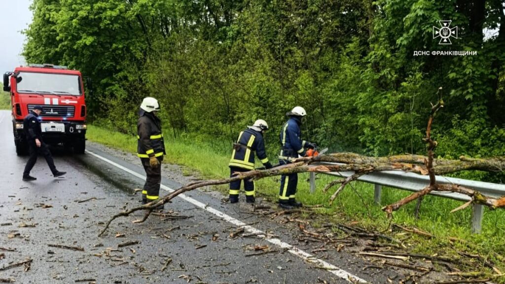 Вирувала негода: в Рогатинській громаді на дорогу впало дерево і заблокувало рух транспорту