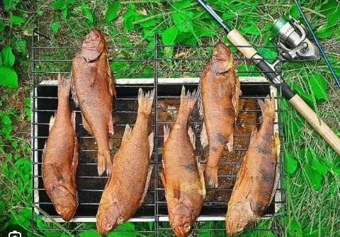 Универсальная коптильня для дома и бизнеса