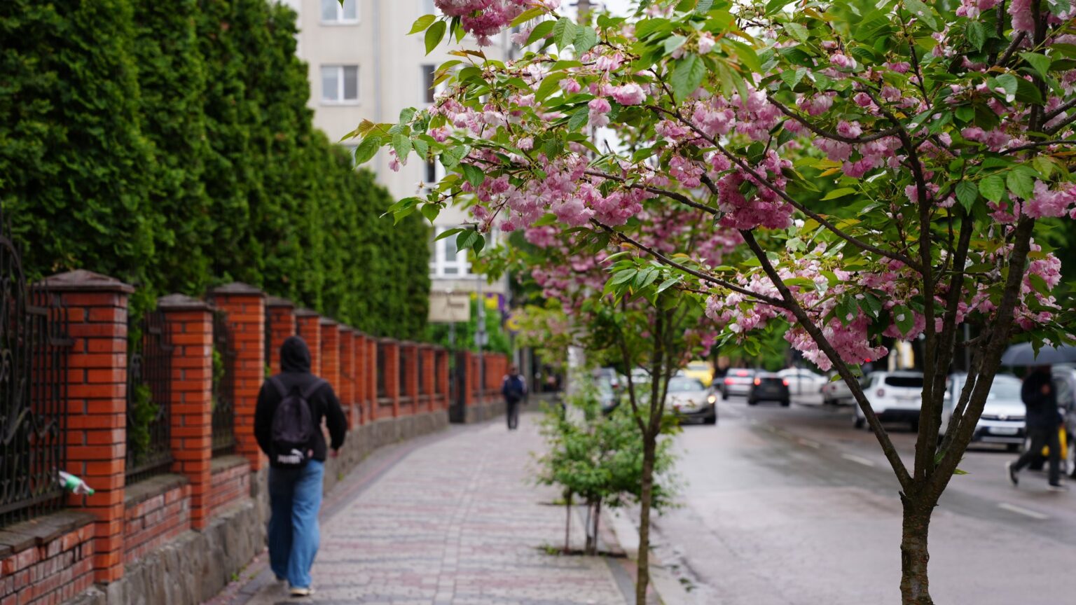 Погода на Івано-Франківщині 16 травня