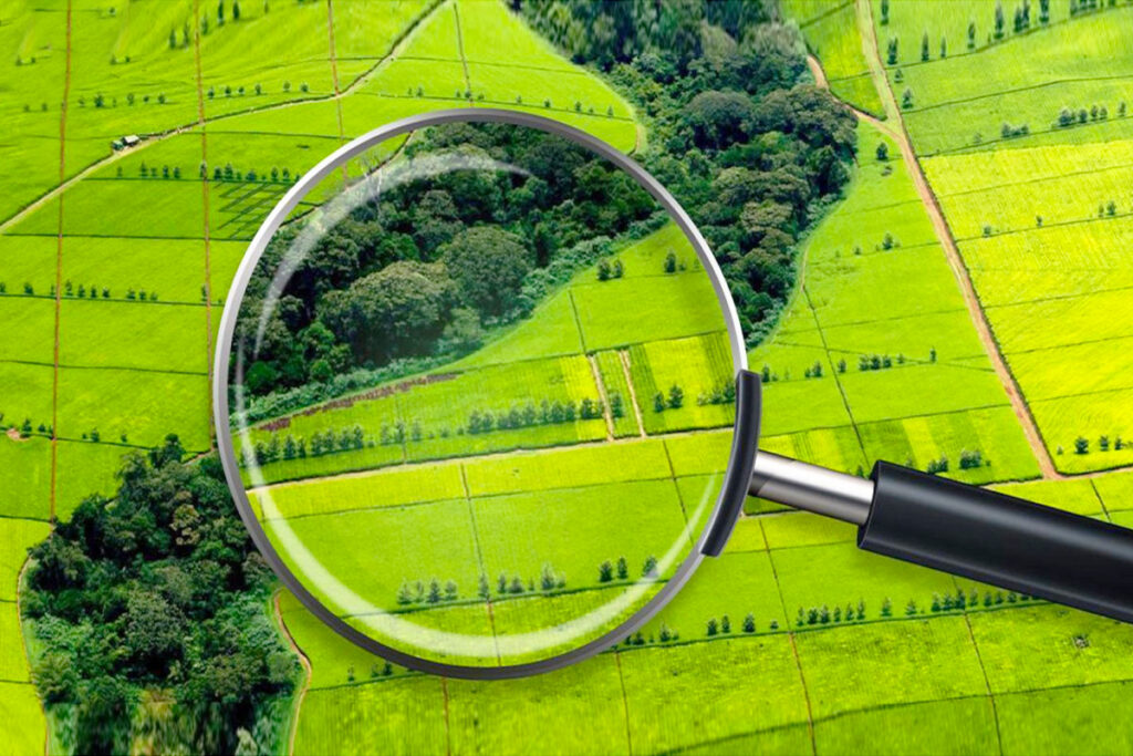 Для чого потрібна оцінка землі та коли без неї не обійтись?