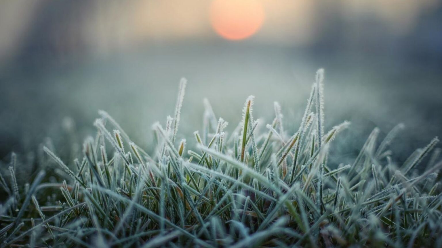 Якою буде погода на Франківщині 12 травня