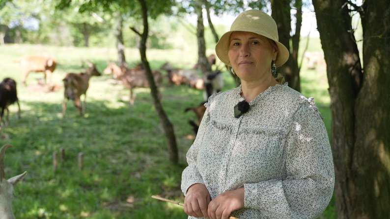 Як працює біодинамічна козина ферма на Франківщині. ВІДЕО