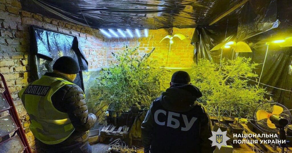 На Прикарпатті взяли під варту організаторів чотирьох нарколабораторій