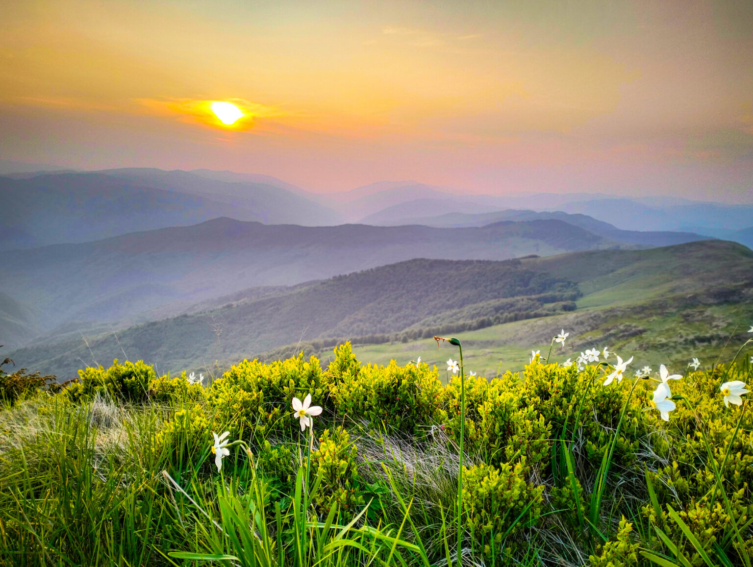 Якою буде погода в Івано-Франківській області 20 червня