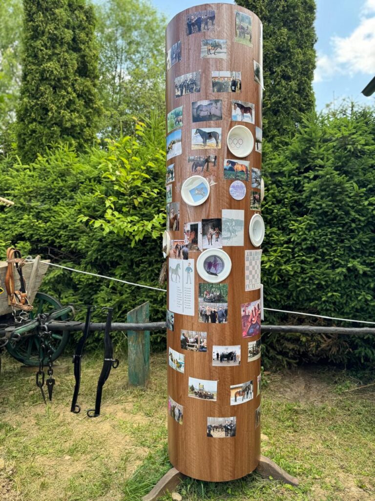 Колона з фотографіями коней на природі