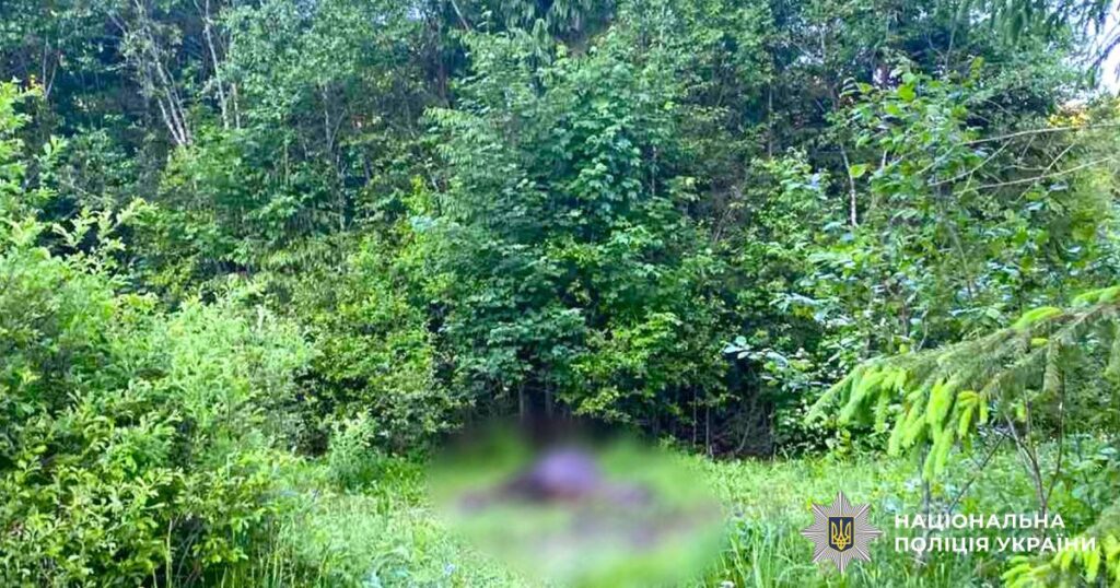 Вистрілив у коня: поліція Прикарпаття шукає зловмисника