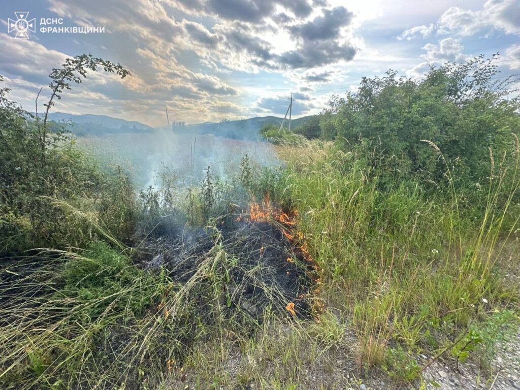 Пожежа в траві на природному ландшафті.